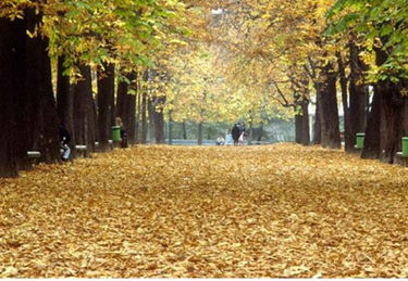 Trang thơ về mùa thu đất nước